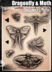 TP Dragonfly & moth