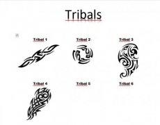 Tribals